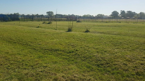 Imagen 10 de 15 de Fracción De Terreno 5.004,40 M2 En Venta Guernica
