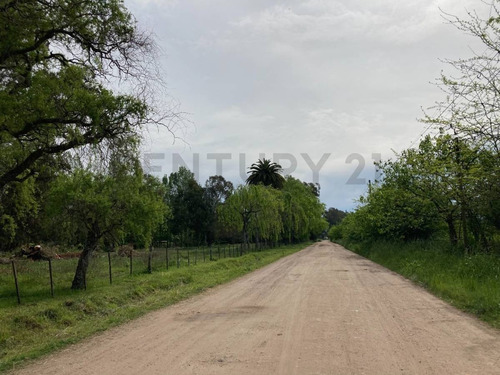 Imagen 2 de 9 de Lote En Venta En Ruta 2