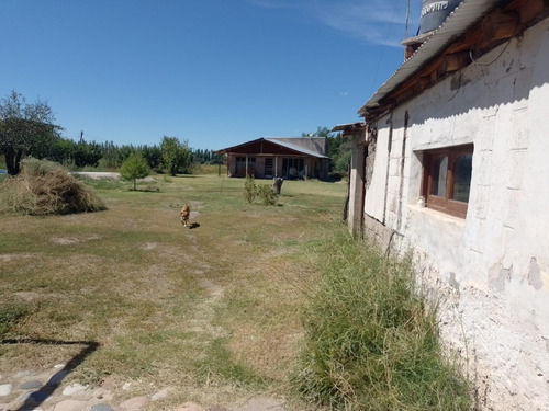 Imagen 17 de 19 de Venta De Casa Con Terreno De 1/2 Hectárea - San Rafael Mendoza