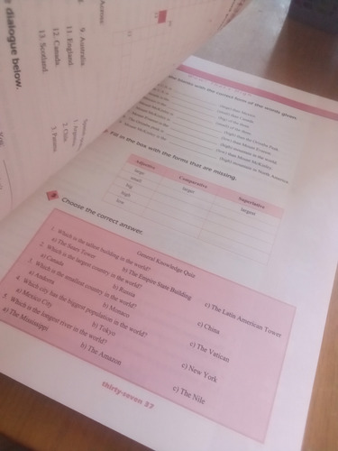 Teamwork Practice Book 3 - Marta Cortina Fregoso (Usado)