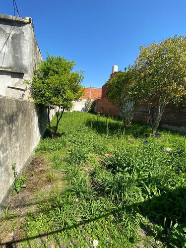 Imagen 3 de 5 de Terreno - Virr.-estacion