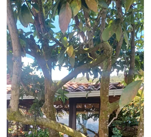 Arriendo Habitación Espiritu De Clara Guarne