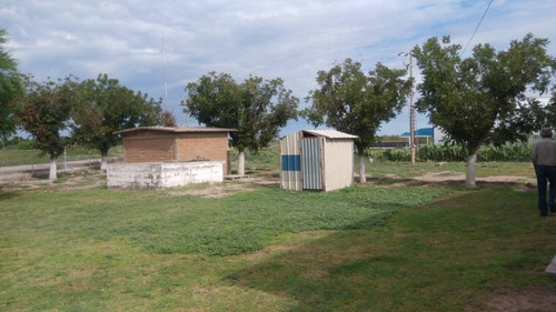 Imagen 6 de 11 de Granja Con Casa Y Local En Venta A 2.5 Kilometros De Delicias Carr. A Camargo.