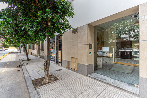 Departamento Venta 3 Amb Pb Sótano Y Patio