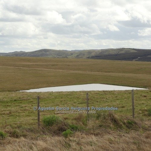Campo A 19 Kms. De Minas Y A 55 Km De P Del E.