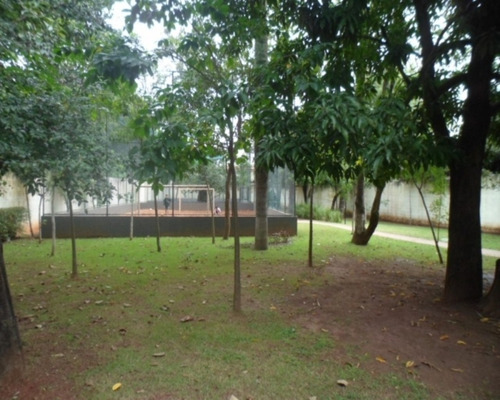 Comodíta Resídence Lindo Apartamento - 917-apdg - 67749781