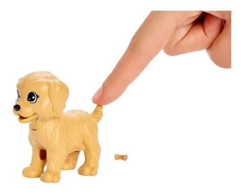 Boneca Barbie Treinadora De Cachorrinhos Fxh08 - Mattel