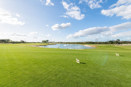 Imagen 1 de 30 de Lotes Residenciales En Mérida Club De Golf Provincia