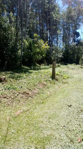 Vende-se Terreno Para Construir De Sítio Ou Chácara