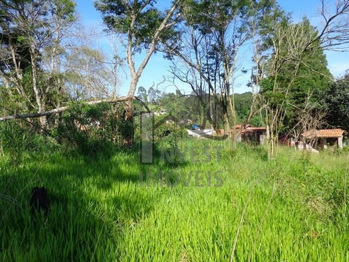 Imagem 5 de 6 de Cód 1716 - Lindo Terreno Com 1.560 M². - 1716