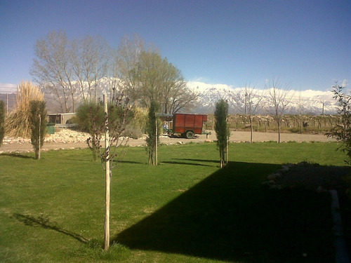 Imagen 2 de 8 de El Cepillo, 51 Has Uvas Finas