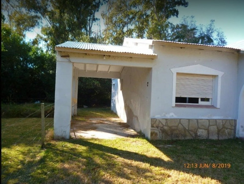 Imagen 4 de 17 de Fueguinos 100 - Punta Indio