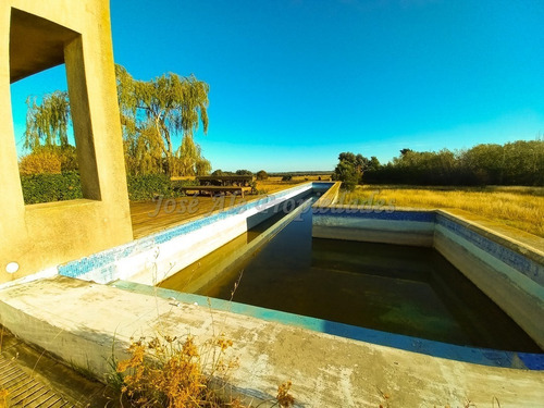 Imagen 6 de 14 de En Venta - Chacra En Colonia De Sacramento