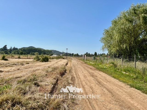 Parcela De 5.000m, Con Rol Propio, En Venta En San Clemente.