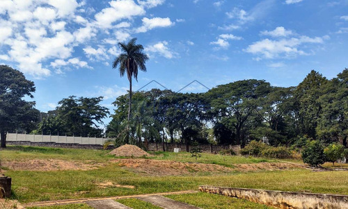 Imagem 1 de 5 de Chácara, Vertentes Do Mamonal, Pirassununga - R$ 770 Mil, Cod: 10131973 - V10131973