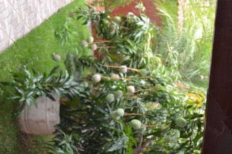 Imagem 11 de 30 de Otima Casa - Jardim Maia - Ven179