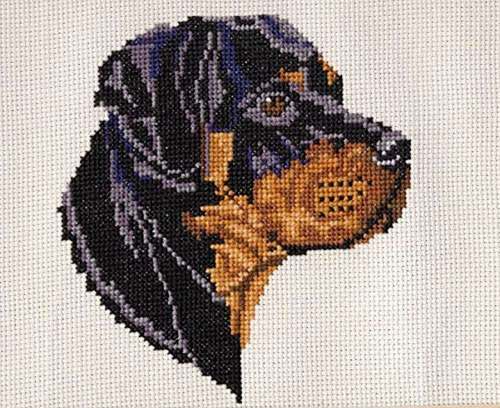 Pegasus Originals Rottweiler Kit De Punto De Cruz