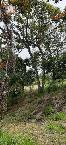 Excelente Imóvel, Todo Arborizado, Fácil Acesso, Pomar, Internet À Venda, 4693 M² Por R$ 300.000 - Pedra Bela/sp - Ch0761