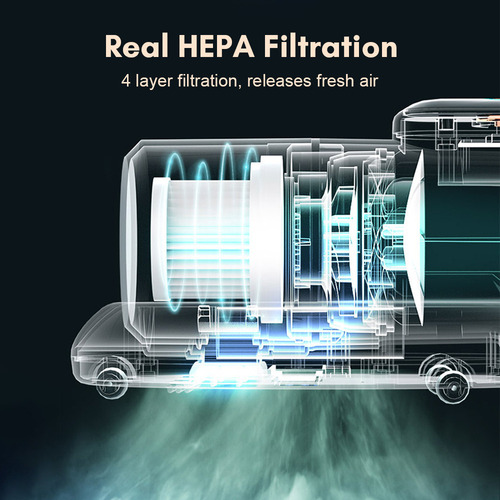 Vacuum Cleaner With Filtration To Eliminate Dust Mites