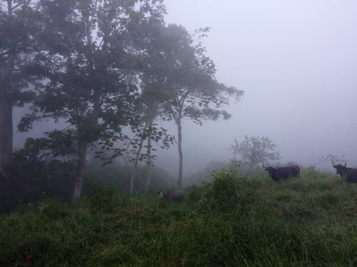 Finca Agrícola, En El Estado Miranda Fp