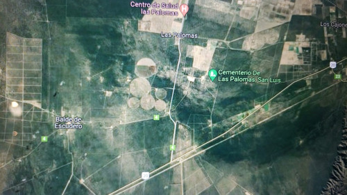 Imagen 4 de 4 de Campo De 17 Hectáreas De Monte En Zona Verde (apto Desmonte), Las Palomas, Junín, San Luis, Electricidad, Agua, Tierra Sumamente Fértil, Ideal Proyecto Granja, Agrícola, Turismo Campestre