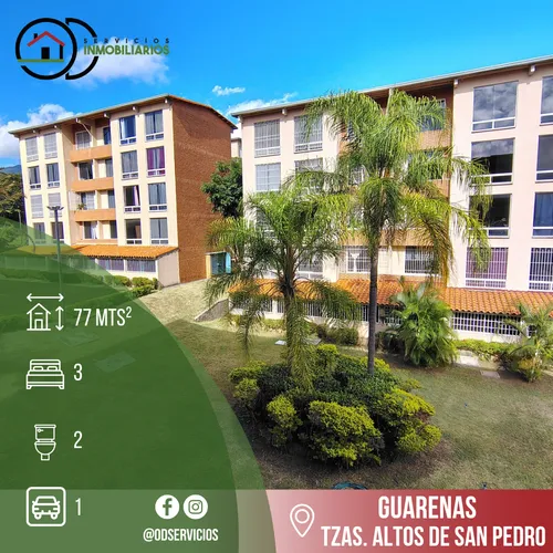 Terrazas Altos De San Pedro