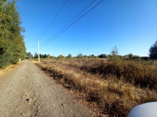 Los Espinos Km 11 Camino A Coihueco