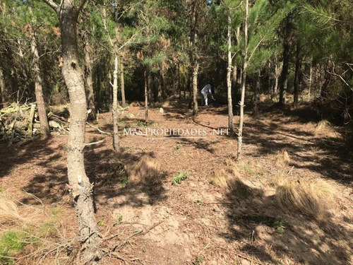 Imagen 5 de 6 de Terreno Interno En Costa Esmeralda Senderos 4