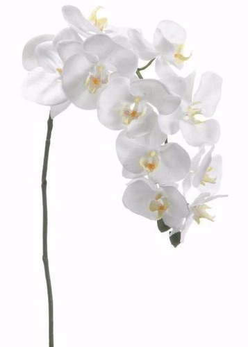 Orquídea Artificial Toque Real | MercadoLivre