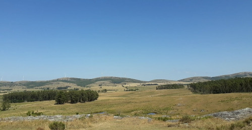 Imagen 11 de 11 de Campo En Venta Otras 5 Hectáreas