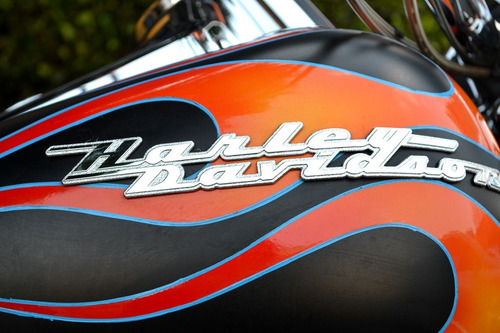 Imagen 5 de 15 de Impresionante Harley Road King Custom 1584 Muy Llamativa