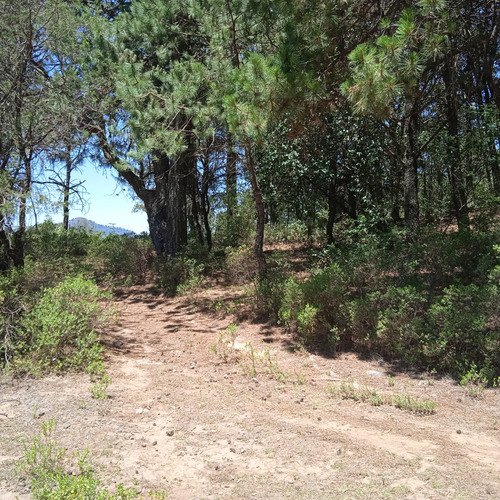 Terreno En Omitlan, Hidalgo A 30 Mins De Pachuca Y 15 De Huasca, Propiedad, Entrada En Pavimento Y Servicios A La Mano