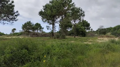 Terreno En Venta Punta Del Diablo Financiado Sin Interes Desde U$s 13.000