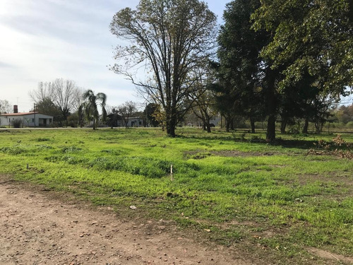Imagen 7 de 30 de Terreno - Ibarlucea