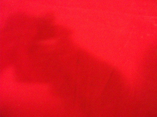 Tela Tercio Pelo Rojo Tapiceria P/metro  Usada