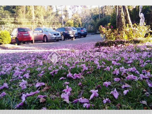 Imagem 1 de 4 de Terreno - Centro - Ref: 269003 - V-269003