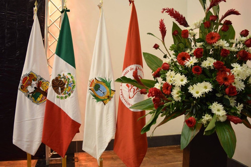 Bandera De Mexico Impresa Reglamentaria 0.90 X 1.58 M.