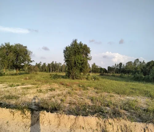 Lotes Conjunto Campestre La Bonga Sabanagrande Atlántico