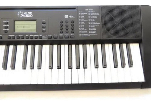 Teclado Alde Audio Tsr 61usb Electronico 61 Teclas 128 Voces Color Negro
