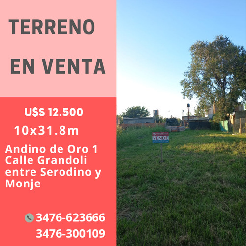 Oportunidad Terreno En Andino Oro 1