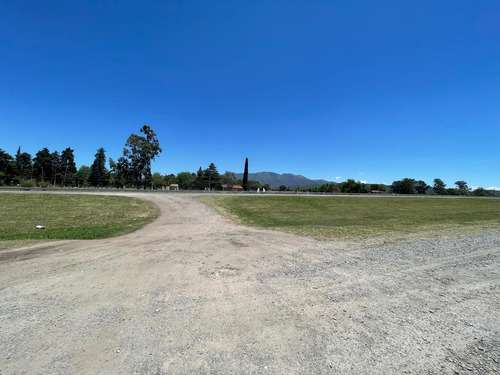 Imagen 6 de 11 de Terreno - Los Nogales