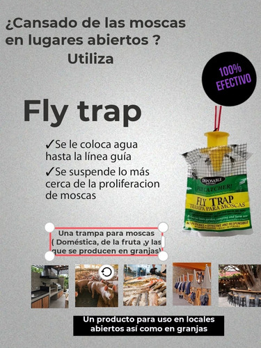 Trampa Para Moscas Fly Trap