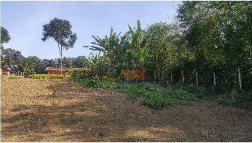 Imagem 11 de 16 de Chácara À Venda, 21000 M² Por R$ 550.000,00 - Biritiba Ussu - Mogi Das Cruzes/sp - Ch0020