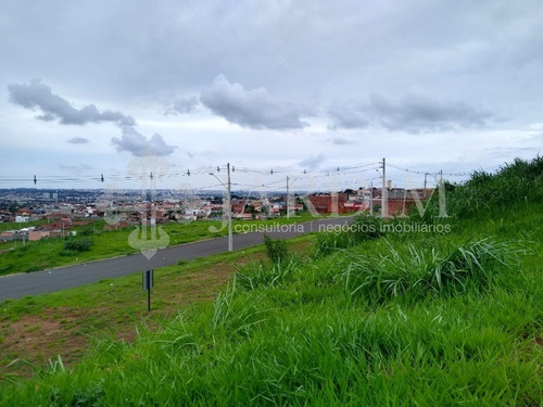 Imagem 4 de 9 de Terreno - Te00290 - 34750960