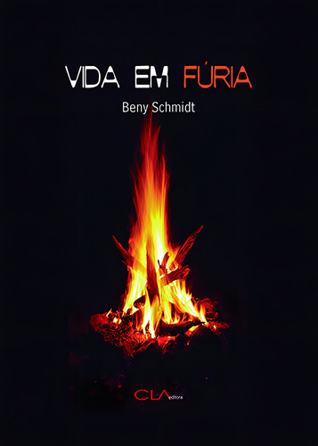 Vida em fúria, de Schmidt, Beny. Editorial Editora Cl-A Cultural Ltda, capa mole em português, 2013