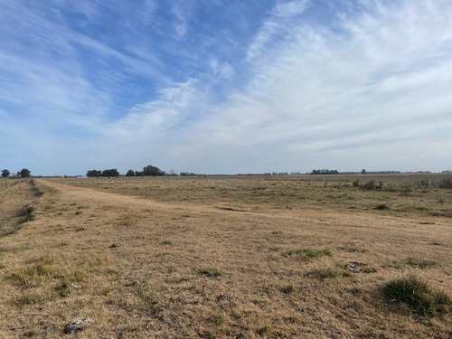 Imagen 8 de 11 de 66 Hectareas En Venta Sobre Ruta 29