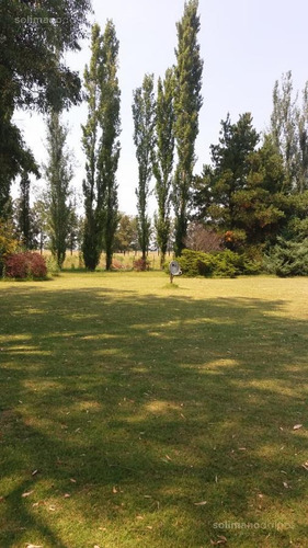 Excelente Campo De 35 Hectáreas En Mercedes