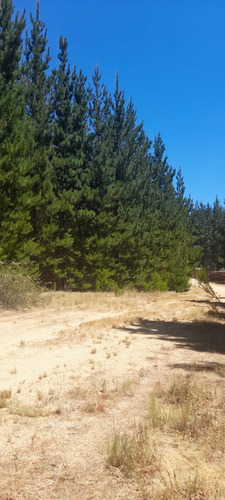 Terreno 20 Mtos. De Pichilemu Y Playa Mónaco