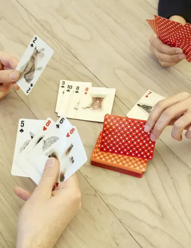 Pinkcatshop – Baraja De Cartas Lenticulares Con Gatitos Y Perritos (Tamaño Póker)