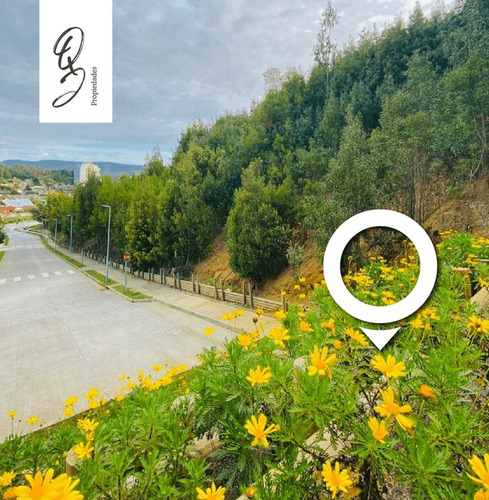 Ultimos Sitios Desde 4,5 Uf/m2 - Valle Quinta Junge